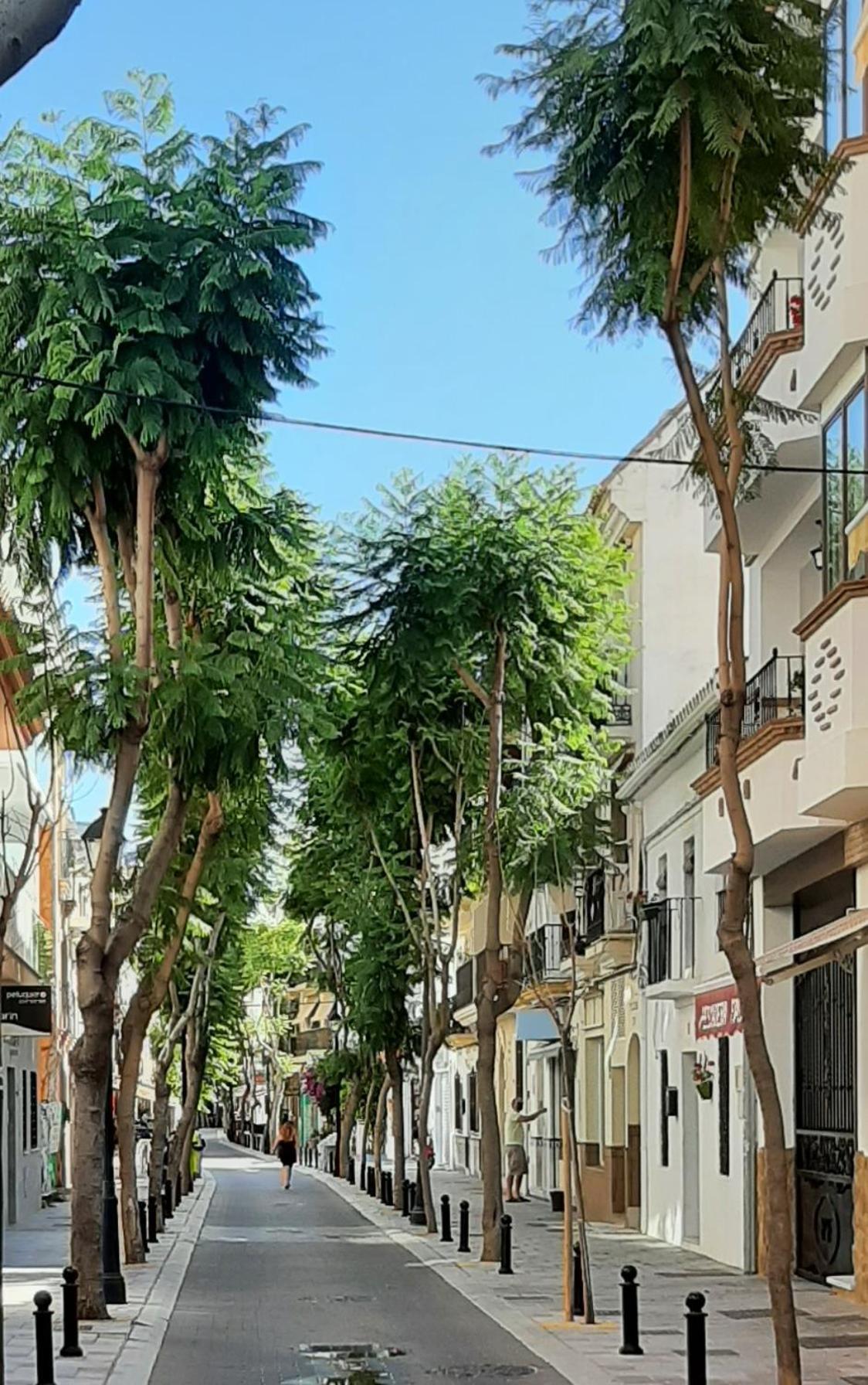 Apartment Las Salinas Boliches Fuengirola Eksteriør billede